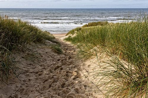 Beach access  Egmond aan Zee