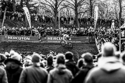 Vestingcross Hulst Mathieu van der Poel