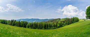 Germany, XXL Edge of the black forest nature landscape on Linden by adventure-photos