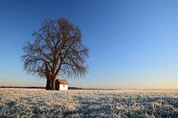 Kapel in bevroren Limburgs Landschap