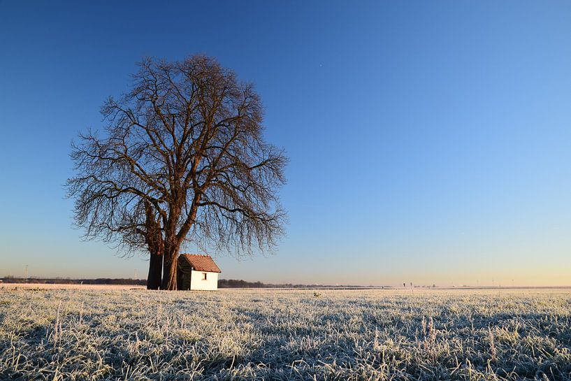Kapel in bevroren Limburgs Landschap van Maarten Honinx