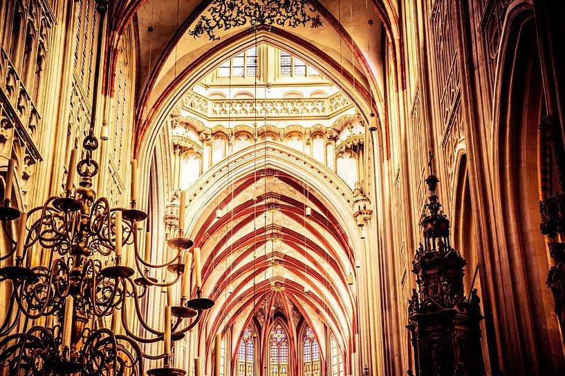 St John&#039;s Cathedral Den Bosch &#039;s-Hertogenbosch by Bianca  Hinnen