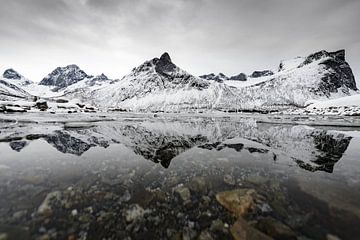 Vue panoramique sur l'île Senja, dans le nord de la Norvège, pendant une froide journée d'hiver sur Sjoerd van der Wal Photographie