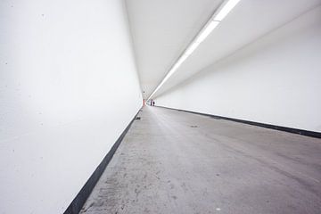 De Sint-Annatunnel is een voetgangers- en fietstunnel van Marcel Derweduwen