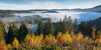 Blick zum Titisee im Morgennebel