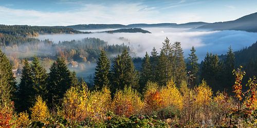 View to theTitisee in morning mist
