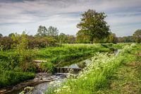 Landelijk Roden Drenthe "De Loop"