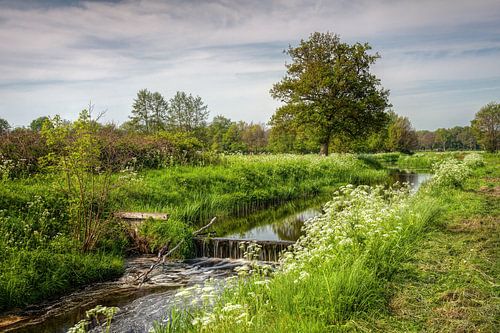 Ländliche Roden Drenthe "De Loop"