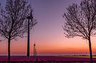 Wind molens tijdens de zon onderganing van Michael Verbeek thumbnail