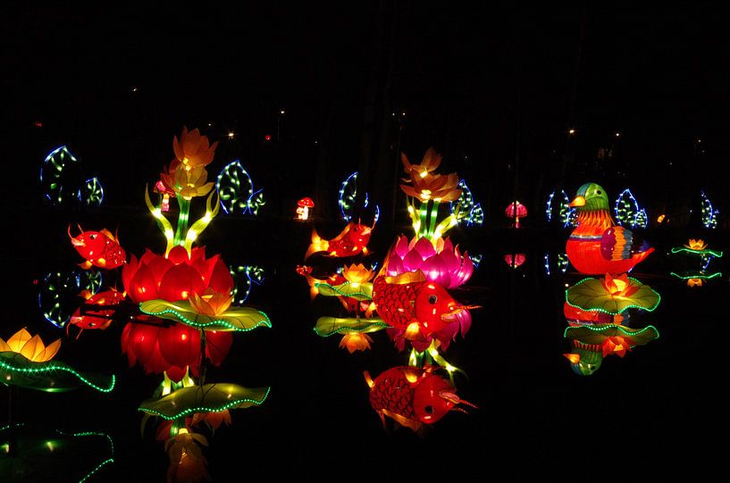 Flowers light China Light spetakel by Jan Pott