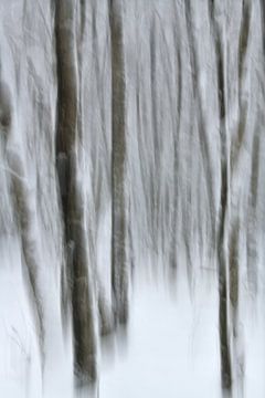 Impressie in een winters bos van Oliver Lahrem