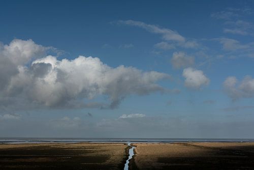 Marais salé au nord de Groningue sur Bo Scheeringa Photography