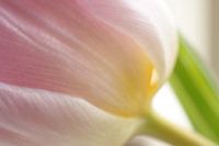 Soft power