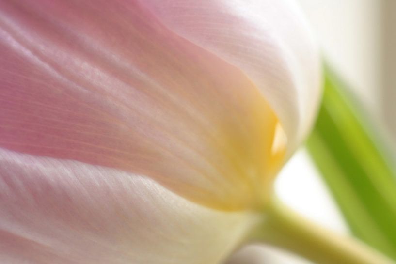Soft power by Wendy Schellekens