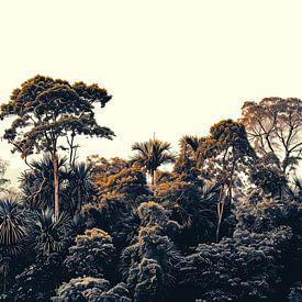 La cime des arbres dans la jungle sur Vlindertuin Art
