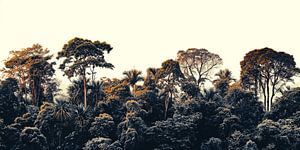 Baumkronen im Dschungel von Vlindertuin Art