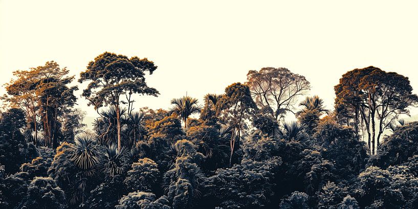 Boomtoppen in de jungle van Vlindertuin-Art