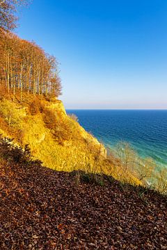 Chalk cliffs in autumn on the coast of the Baltic Sea on the island of R