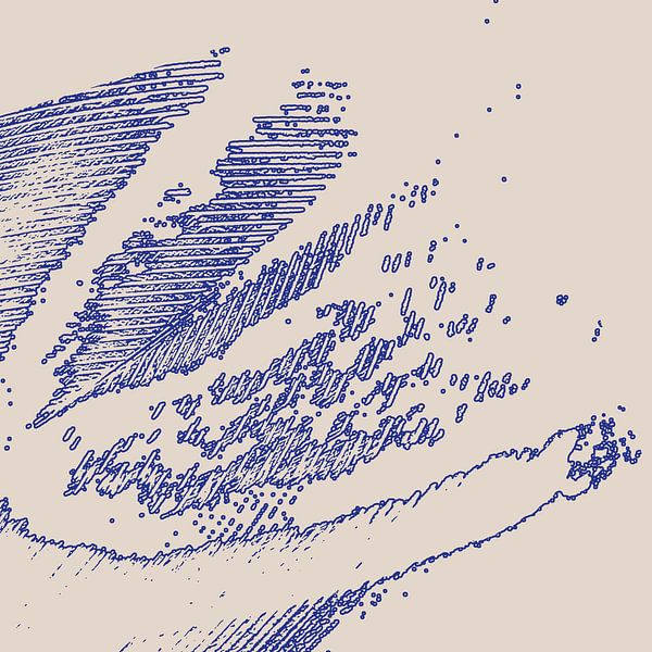 Fezā - Pattern of a Feather Line Print by Buro JEB ~ Studio NotARTificial