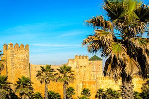 Mur de la ville avec des palmiers à Rabat, Maroc sur Dieter Walther