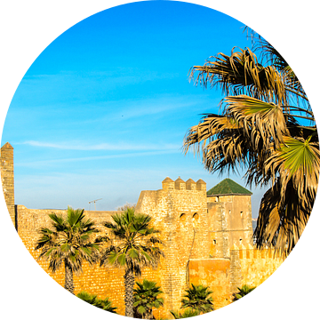 Stadsmuur met palmbomen in Rabat Marokko