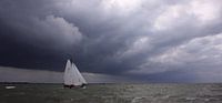 Lemsteraak sailing home van Hielke Roelevink thumbnail