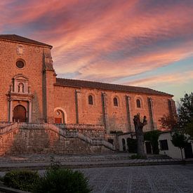 Monasterio la cartuja Granada van Niki Radstake