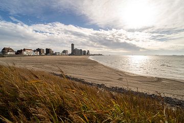 Flushing beach by Robrecht Kruft