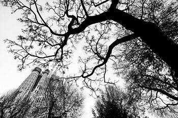 Schwarz-Weiß-Bild der Sagrada Familia in Barcelona