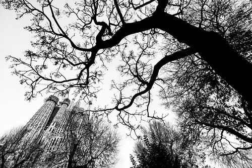 Zwart wit beeld van de Sagrada Familia in Barcelona