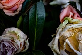 Beauty by Truckpowerr