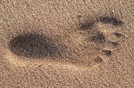 Footprint in wet sand by Harrie Muis thumbnail