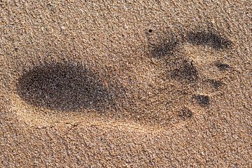 Fußabdruck im nassen Sand von Harrie Muis
