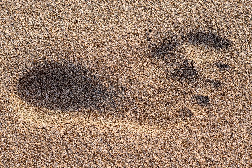 Footprint in wet sand by Harrie Muis