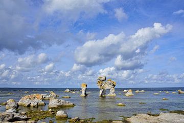Gamle hamn op Gotland van Karin Jähne