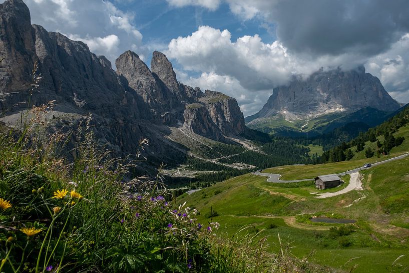 Gardena Pass, Dolomites by Richard van der Woude
