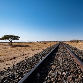 Spoorweg in Namibië van Thomas Bollaert