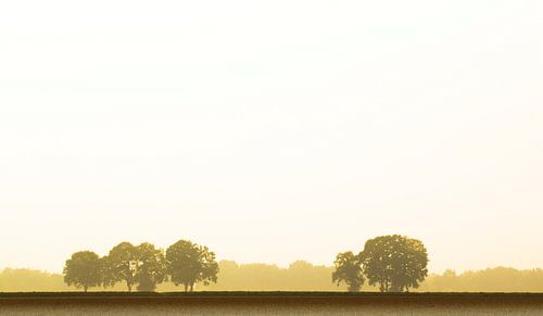 Abstract landschap