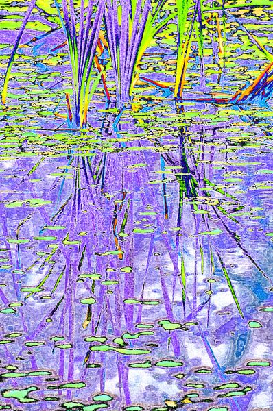 Kleurrijk riet (drieluik) von CreaBrig Fotografie