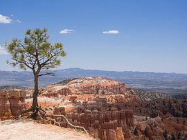 At the precipice, Bryce Canyon National Park by Katrin May