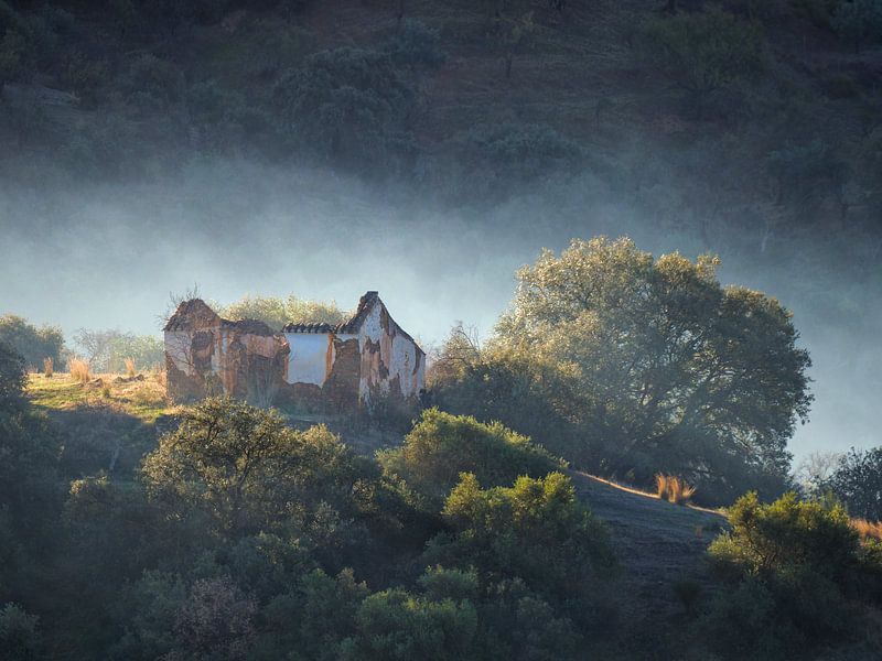 Von Nebeln umhüllt von BHotography