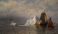 Walfangschiffe von William Bradford an der Küste von Labrador von finemasterpiece Miniaturansicht