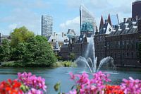Den Haag