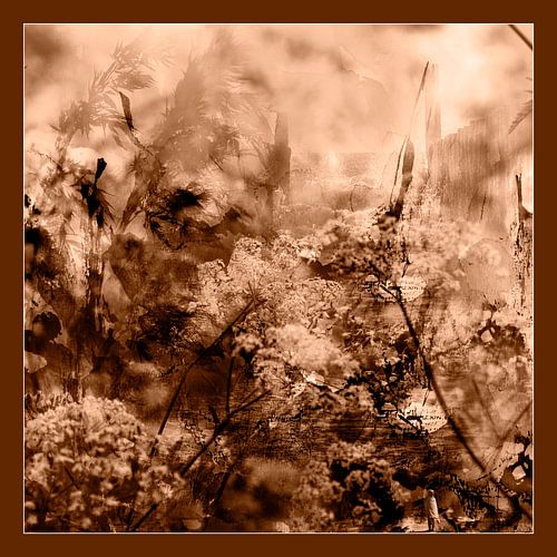 HAVENHOOFD IN OUD SEPIA