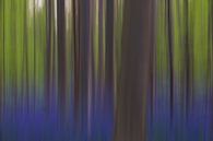 Colours of the forest von Astrid Brenninkmeijer Miniaturansicht