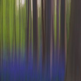Colours of the forest sur Astrid Brenninkmeijer