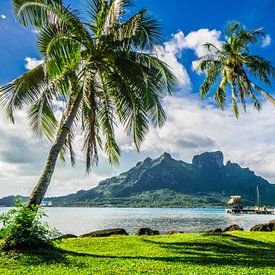 Palm trees on Bora Bora by Ralf van de Veerdonk