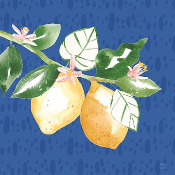 Citron Traditions IV, Dina June van Wild Apple
