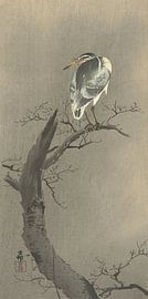 Quack on branch of Ohara Koson