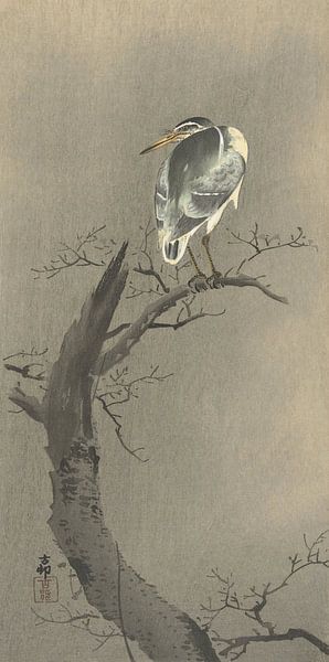 Quacksalber auf dem Zweig des Ohara Koson von Gave Meesters